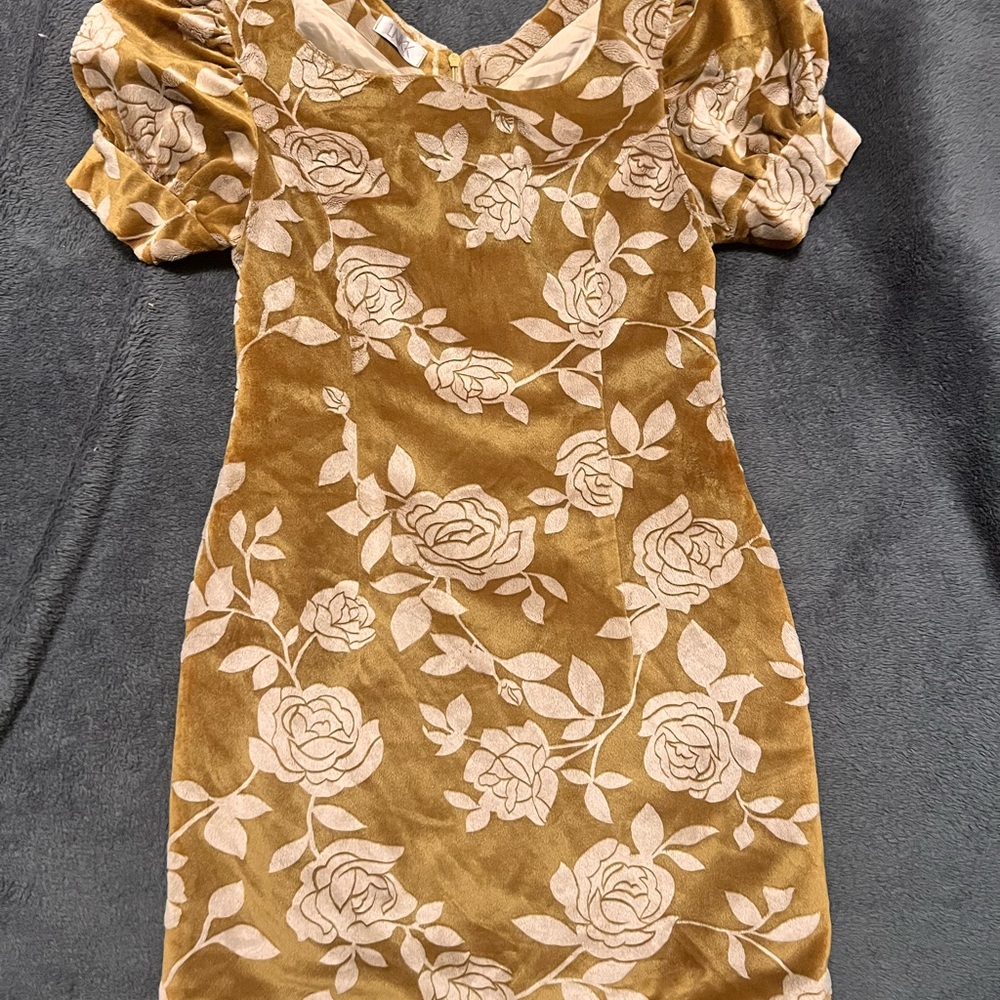 Link Gold Floral Velvet Mini Dress